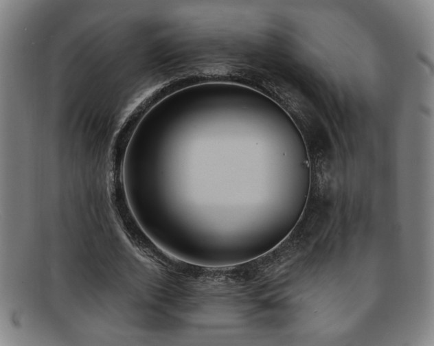 X0000092110728200709121618