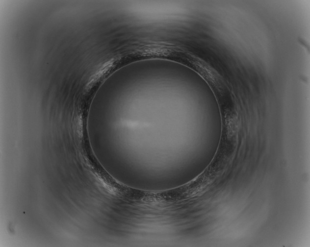 X0000092110729200709121618