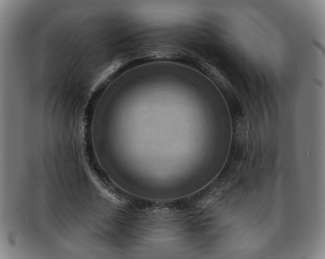 X0000092110730200709121618