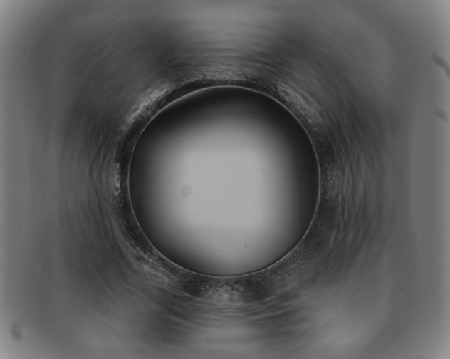 X0000092110731200709121618