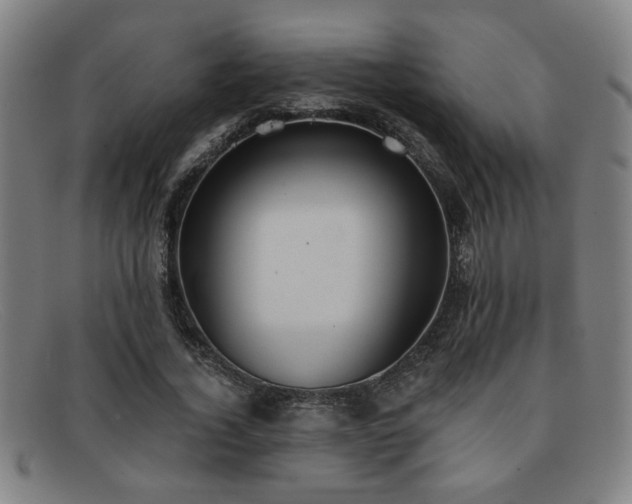 X0000092110732200709121618