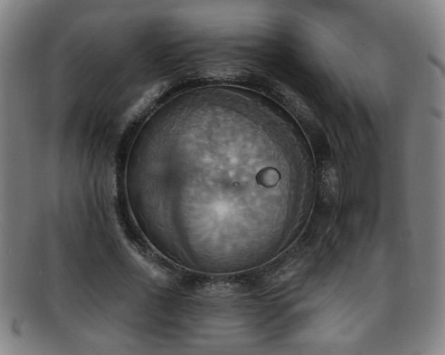 X0000092110734200709121618