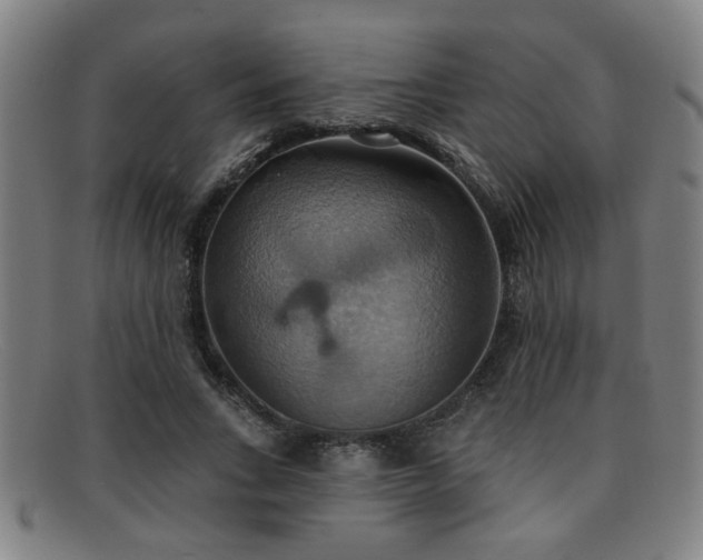 X0000092110735200709121618