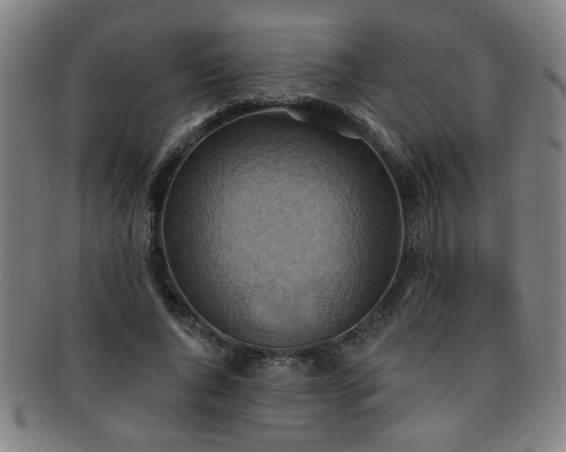 X0000092110736200709121618