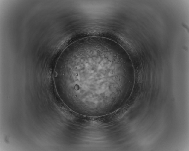 X0000092110737200709121618