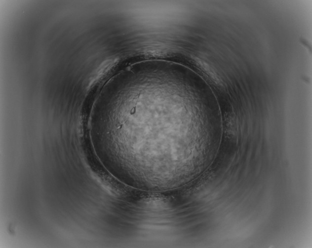 X0000092110738200709121618