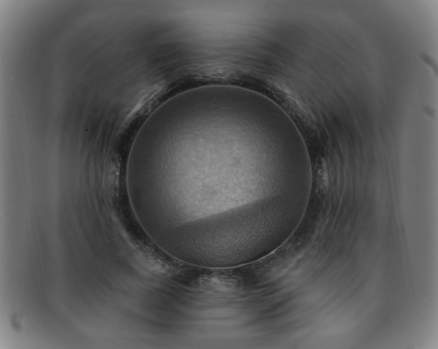 X0000092110739200709121618