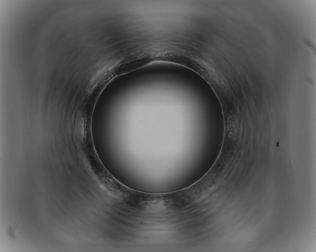 X0000092110740200709121618