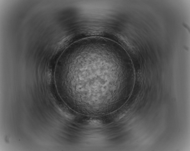 X0000092110741200709121618