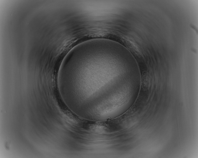 X0000092110743200709121618