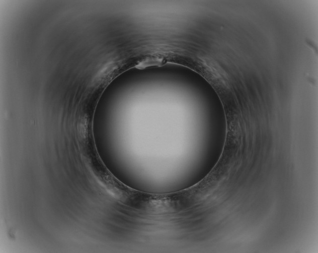 X0000092110744200709121618