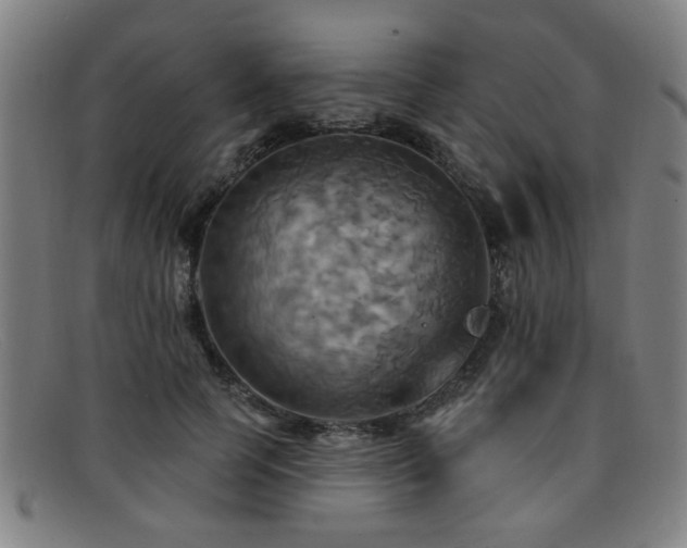 X0000092110745200709121618