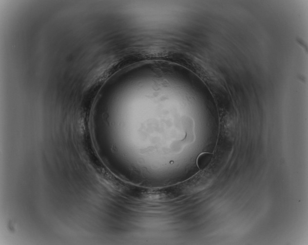 X0000092110746200709121618