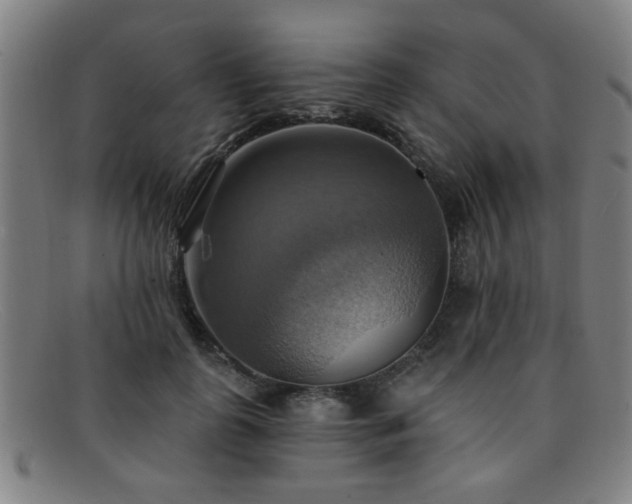 X0000092110747200709121618