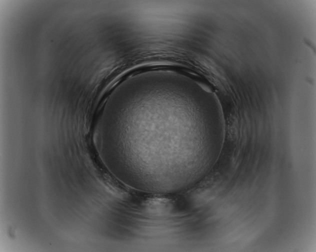 X0000092110748200709121618