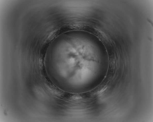 X0000092110749200709121618