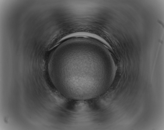 X0000092110750200709121618