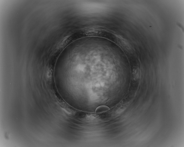 X0000092110753200709121618