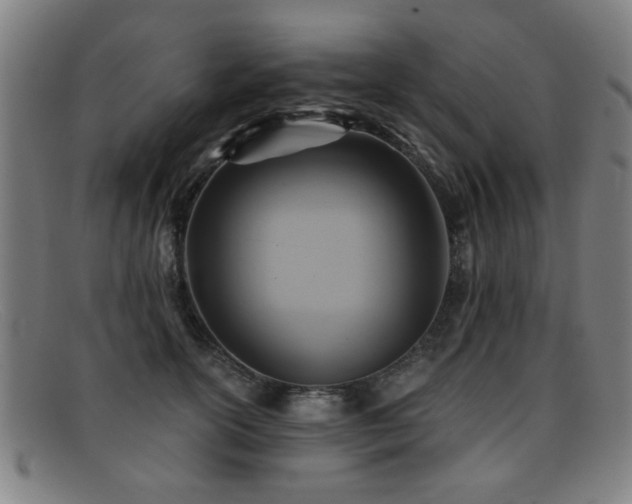 X0000092110754200709121618