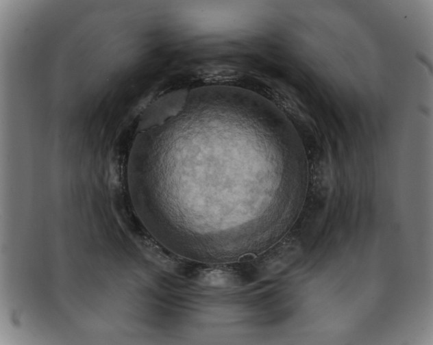 X0000092110755200709121618