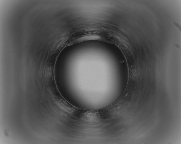 X0000092110756200709121618