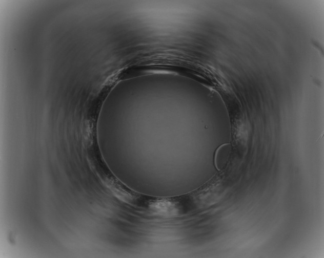 X0000092110759200709121618