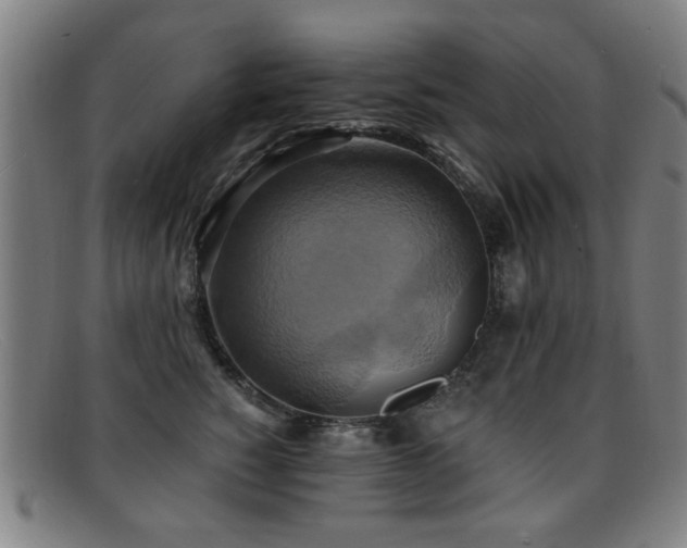 X0000092110760200709121618