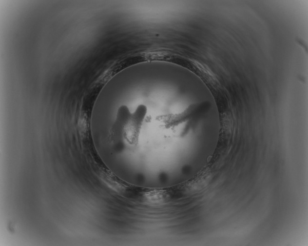 X0000092110761200709121618