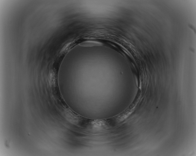 X0000092110762200709121618