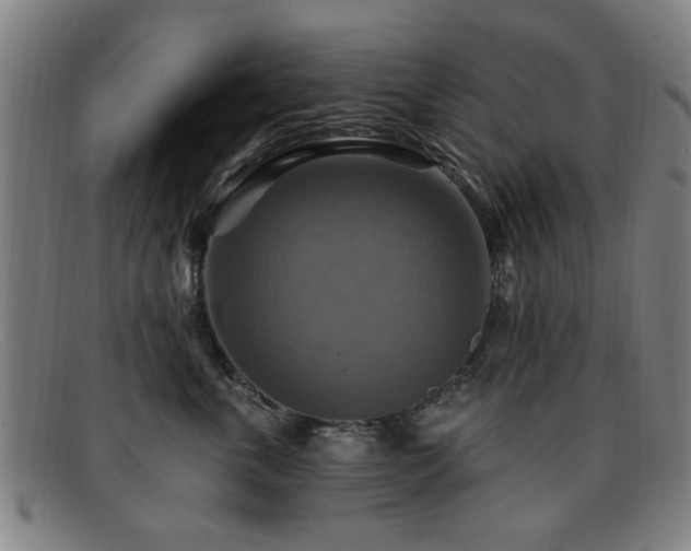 X0000092110763200709121618