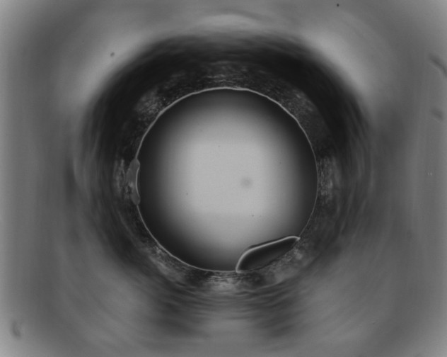 X0000092110764200709121618