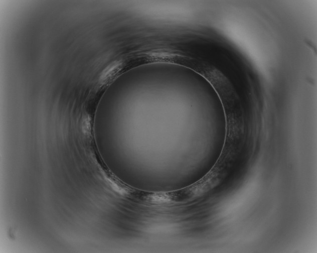 X0000092110765200709121618