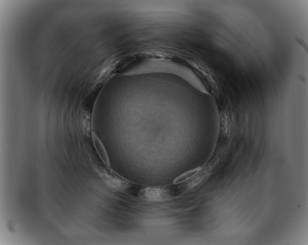 X0000092110766200709121618