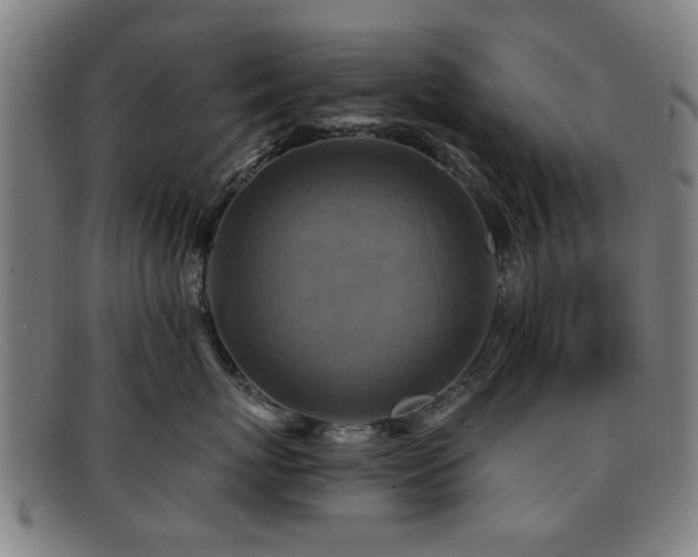 X0000092110767200709121618