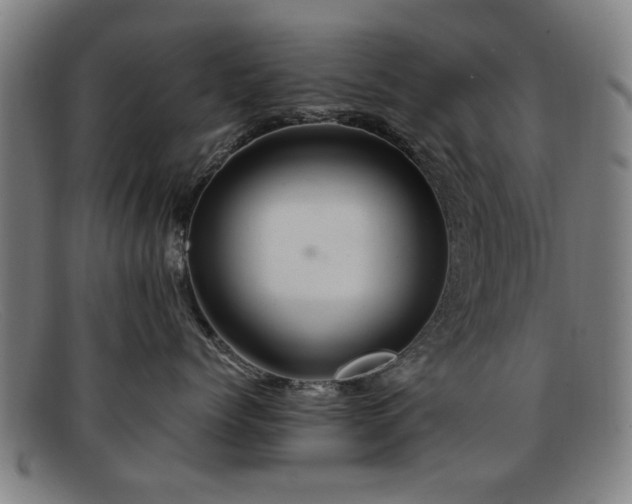 X0000092110768200709121618