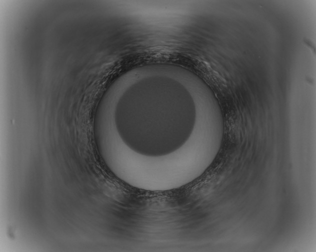 X0000092110769200709121617