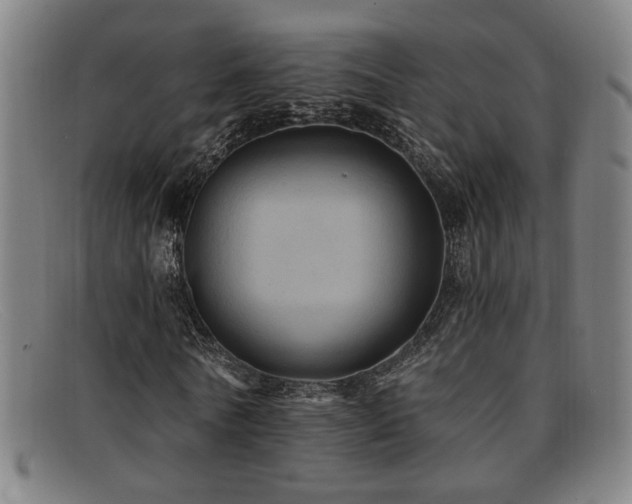 X0000092110770200709121617