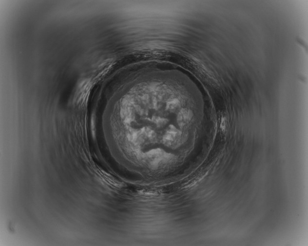 X0000092110771200709121617