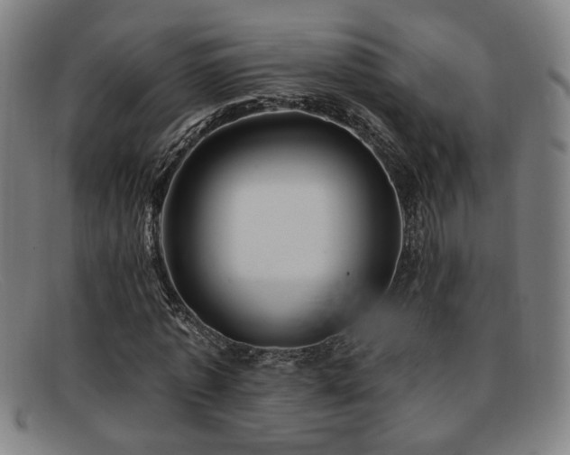 X0000092110773200709121617