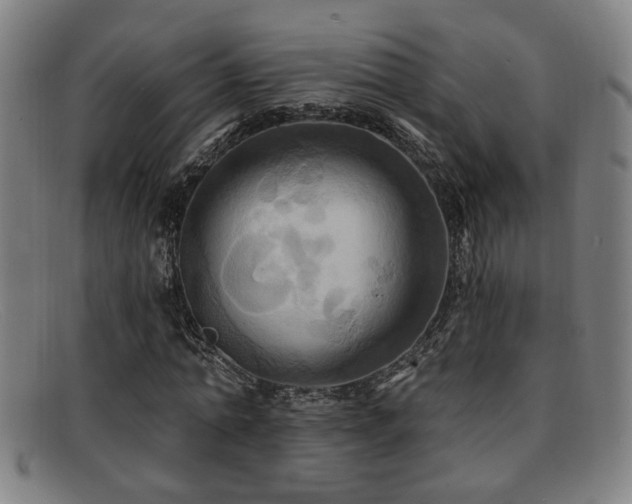 X0000092110774200709121617