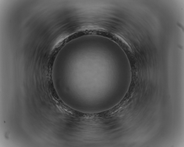 X0000092110775200709121617