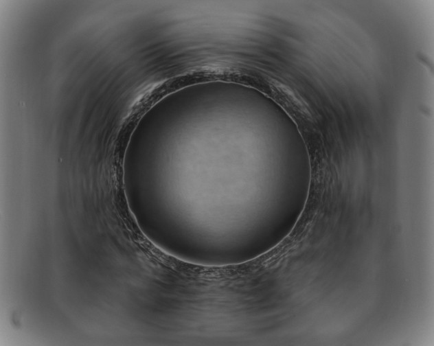 X0000092110776200709121617