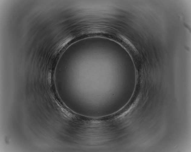 X0000092110777200709121617