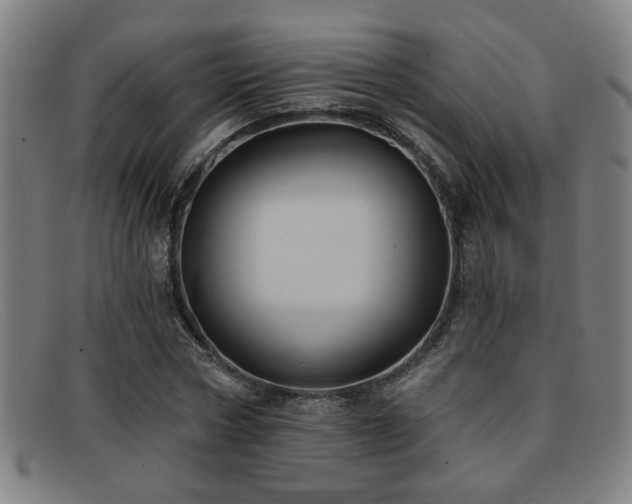 X0000092110778200709121617