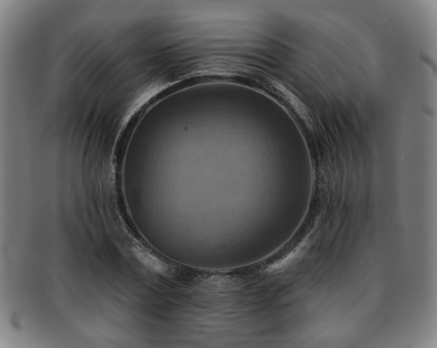 X0000092110779200709121617