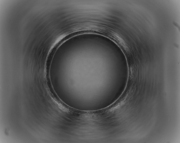 X0000092110780200709121617