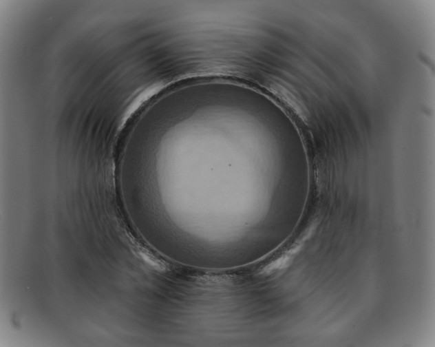 X0000092110781200709121617