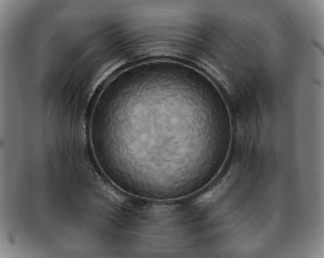 X0000092110782200709121617