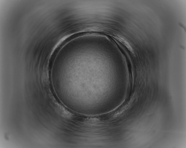 X0000092110784200709121617