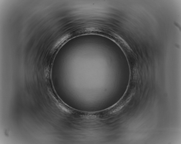 X0000092110785200709121617